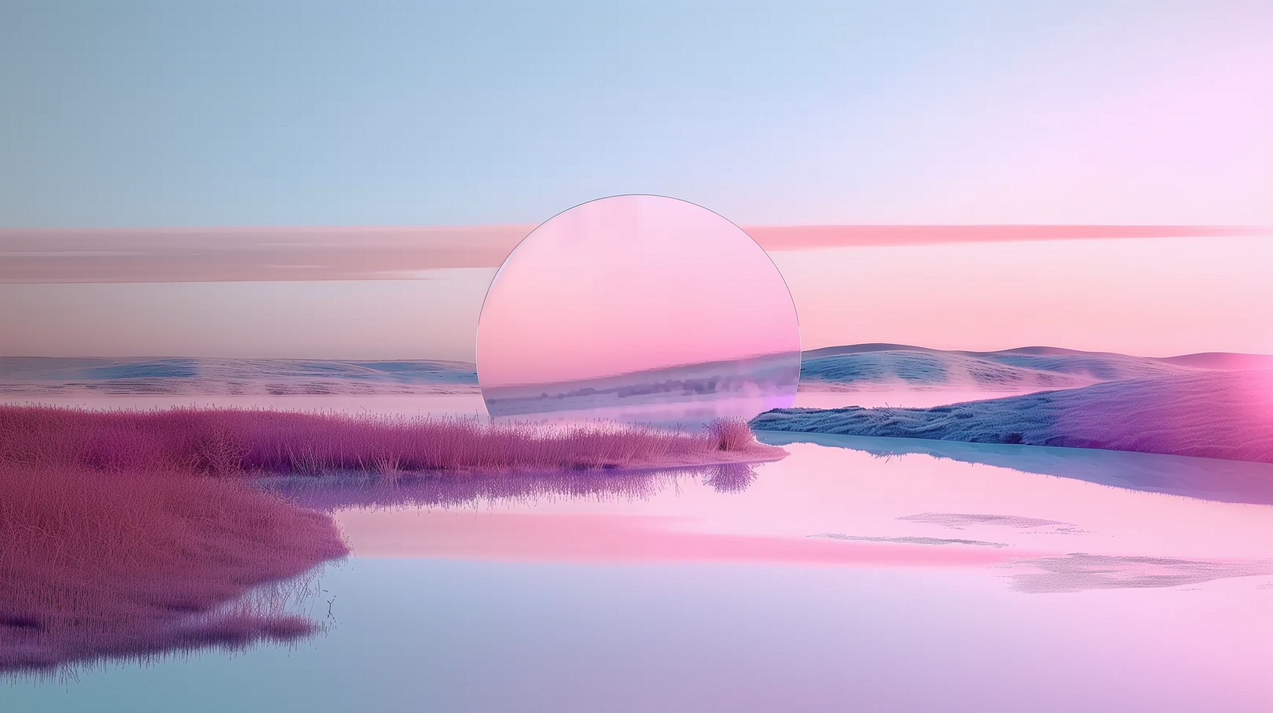 Workshop & Formations