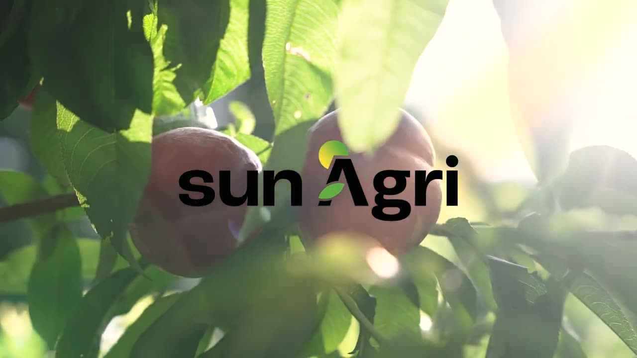 Sun’Agri